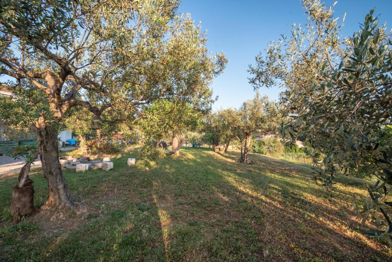 Вилла Istrian Casa Ladonia By Locap Group Порторож Экстерьер фото